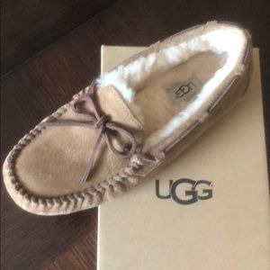 Ugg Dakota Slippers/